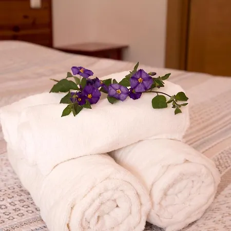 Bed & Breakfast Casa D'alma 3*
