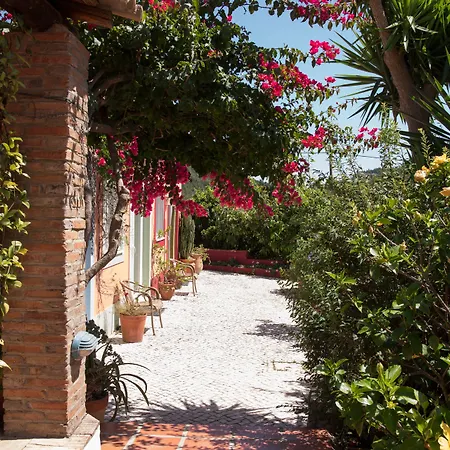 Casa D'alma 4*