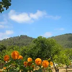 Casa Spa D'alma Bed & Breakfast