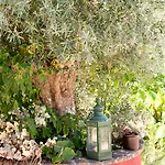 Bed & Breakfast Casa Spa D'alma