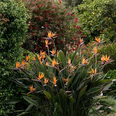 Panzió Casa D'alma 4*