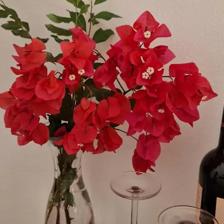 Panzió Casa D'alma Monchique