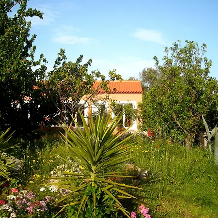 Casa D'alma 4* Monchique