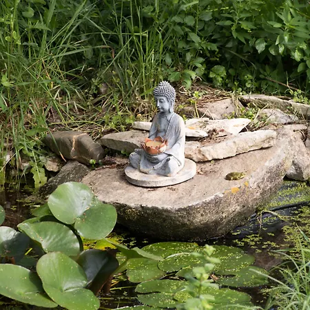 Panzió Casa D'alma 4*