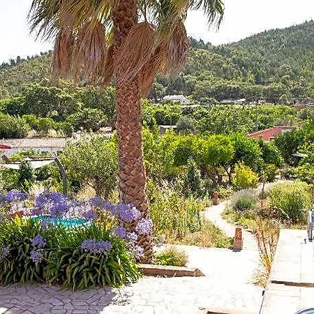 Oda ve Kahvaltı Casa D'alma