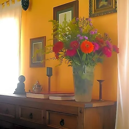 Casa D'alma