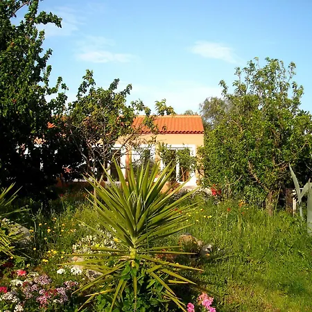 Casa D'alma 3*
