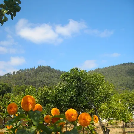 Casa D'alma Bed & Breakfast