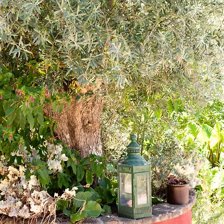 Bed & Breakfast Casa D'alma