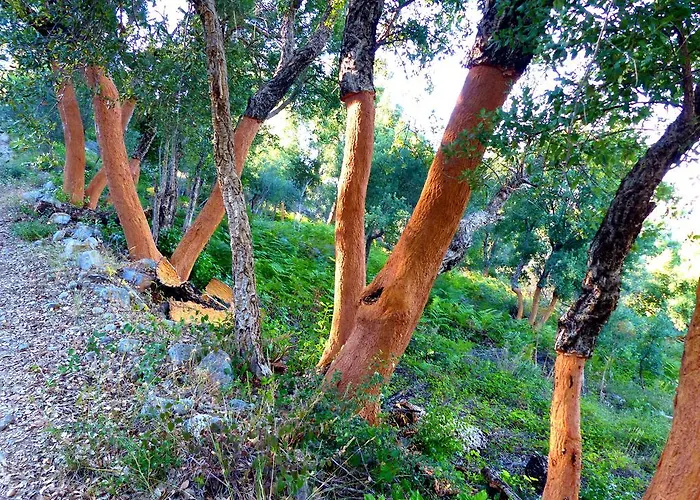 Casa D'alma 4* Monchique